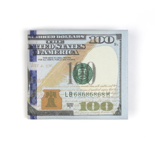 DOLLAR BILL WALLET