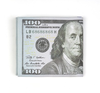 DOLLAR BILL WALLET