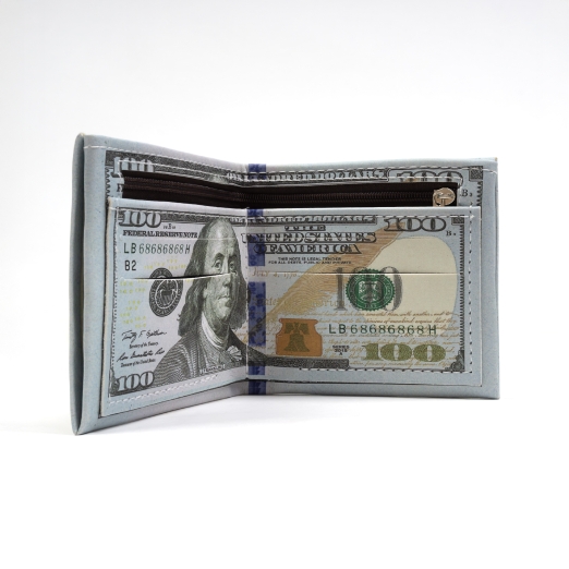 DOLLAR BILL WALLET