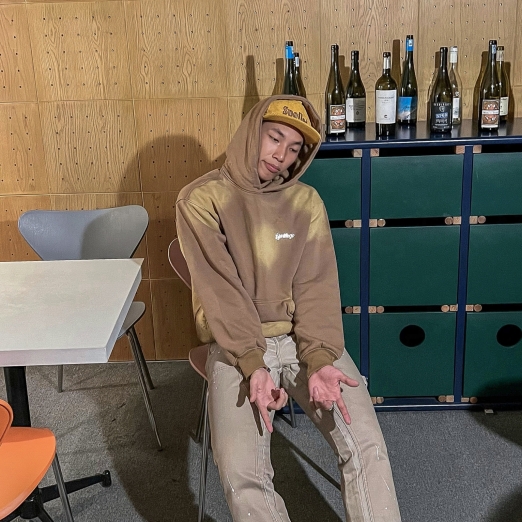 METAL LOGO WASHED HOODIE IN BROWN