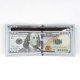 DOLLAR BILL WALLET