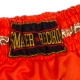 MUAY SHORTS IN ORANGE
