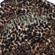 MM FLEECE JACKET IN LEOPARD PATTERN